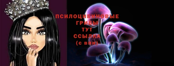 тгк Кинешма