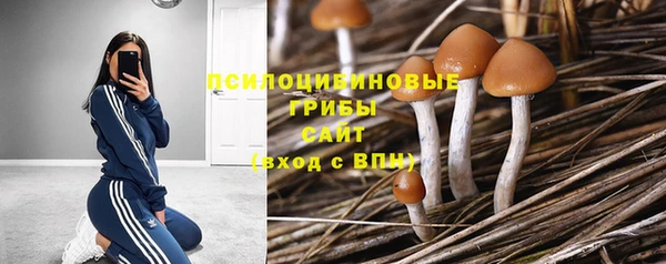 хмурый Киреевск