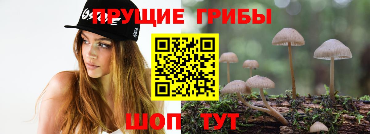 Ливны  Галлюциногенные грибы мухоморы  купить закладку  Вход с VPN  Псилоцибиновые грибы прущие грибы 